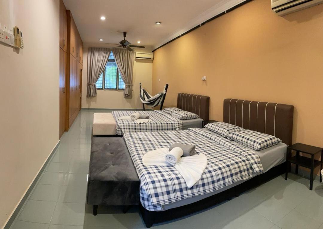 Homestay Dino House *